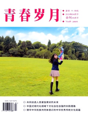 青春岁月杂志